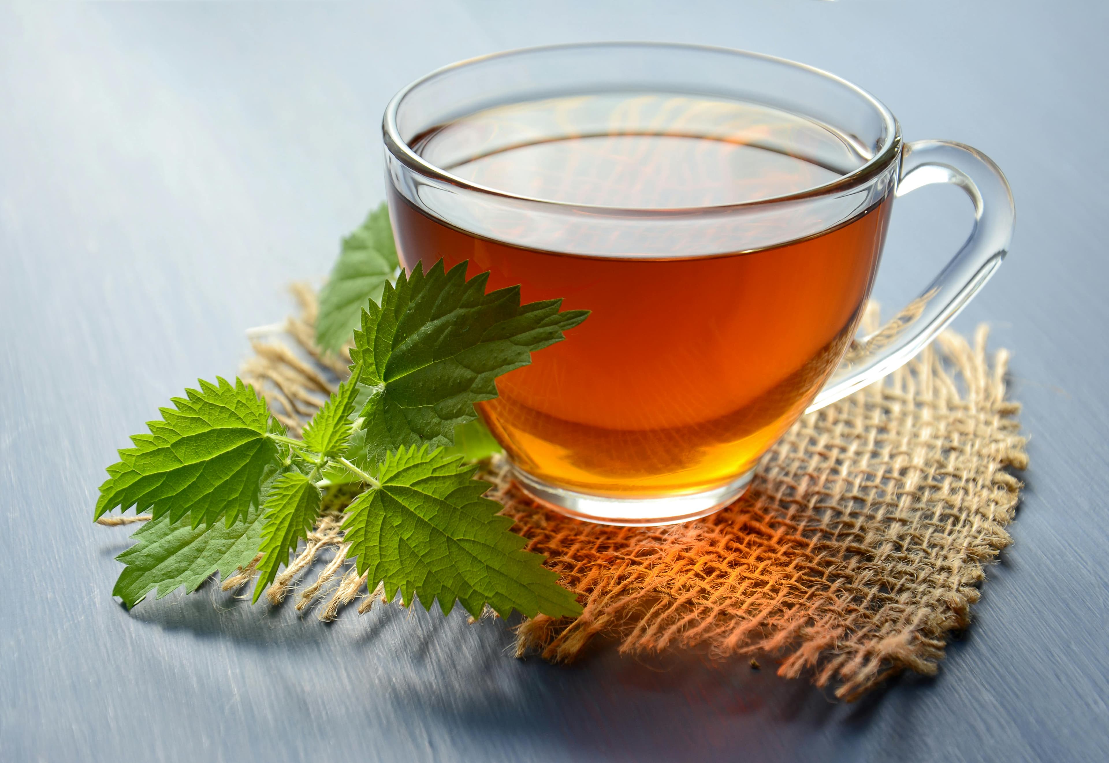Herbal Teas That Support Digestion Naturally